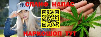 бошки Будённовск